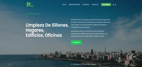 Diseño Web Uruguay Servicios Picasso